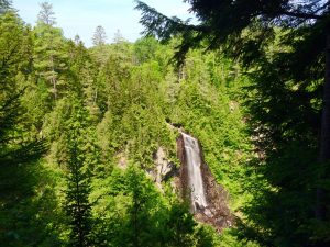 OK Slip Falls surrounded by beautiful trees